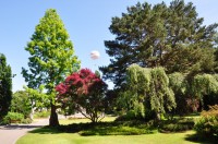 Bournemouth Gardens